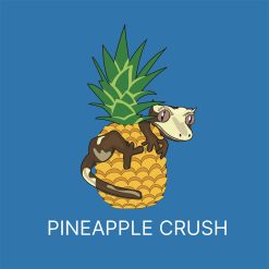 Blue River Diets Vitorlás és nappali gekkó táp - Pineapple Crush | 60g