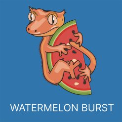 Blue River Diets Vitorlás és nappali gekkó táp - Watermelon Burst | 60g