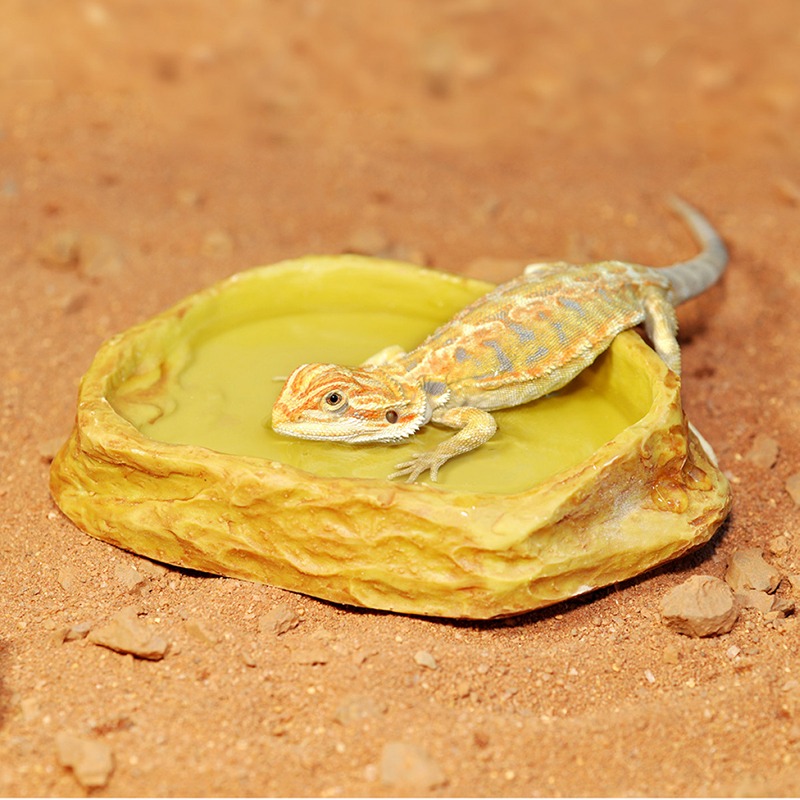 HabiStat Sandstone Water Dish Homokkő itatótál