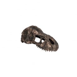 ExoTerra T-Rex Skull