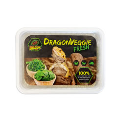 DragonOne DragonVeggie Zöldség magkeverék | Teknős agáma leguán