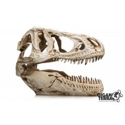 GiganTerra T-Rex Skull XXL Terráriumi dekoráció és mászóka