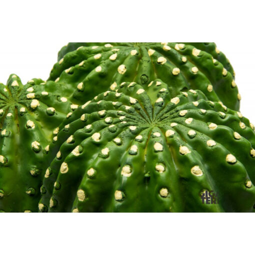 GiganTerra Cactus Hide 475 Kaktusz formájú sivatagi búvóhely