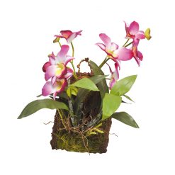 Lucky Reptile Lila függő orchidea művirág