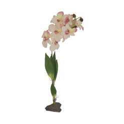 Lucky Reptile Fehér orchidea talpas művirág