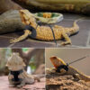 Nomoy Pet Reptile Harness Lizard Leash Hüllőpóráz sétáltatáshoz