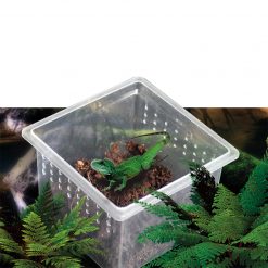 Reptiles-Planet Műanyag tároló doboz hüllőkhöz bogarakhoz | Mini