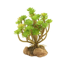 Zoomed Desert Flora Sivatagi műnövény - Tree Houseleek | 23 cm